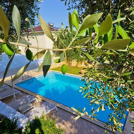 Thassian Villas タソス エクステリア 写真